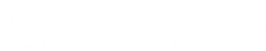 BestLink Logo 2 1 e1721154651141